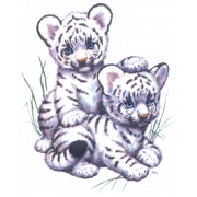 bébé tigre blanc